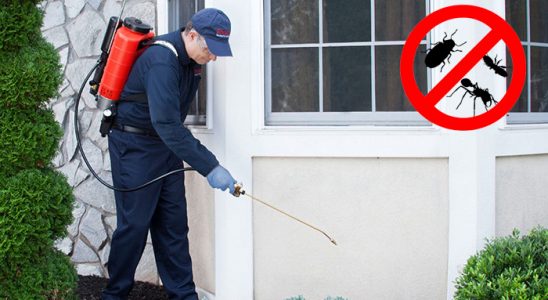 Eflani Böcek İlaçlama böcek ilaçlama ve haşere kontrolü — ilaclama-tr.com